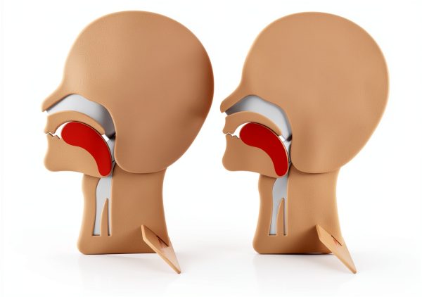XFT CPR Head Section Model 2 Pack for First Aid Training Airway-0
